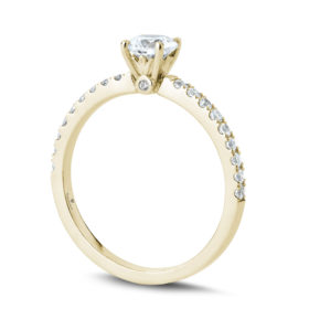 nler-09-rd50y-standing